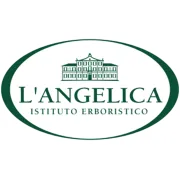 L'Angelica