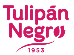 Tulipan Negro