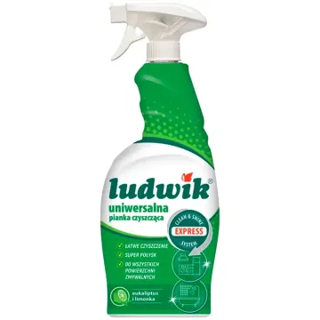 Универсальная пена-спрей для чистки Ludwik Clean & Shine Express System, 750 мл